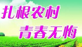 大學(xué)生村官選調(diào)生是公務(wù)員嗎？村官選調(diào)生和選調(diào)生什么區(qū)別？有編制嗎？