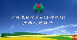 廣西農(nóng)村信用社理事長(zhǎng)韋家干、主任李燕、唐誠(chéng)希、歐澤馨等領(lǐng)導(dǎo)班子