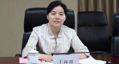 廣西副主席丁向群，調任安徽省委常委、組織部部長，曾任國開行副行長(丁向群簡歷)