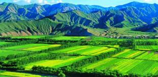 廣西農(nóng)村投資集團待遇怎么樣？廣西農(nóng)業(yè)信貸擔保公司工資多少？中層如何？