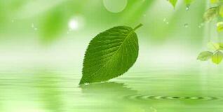 南寧八菱科技怎么樣？待遇怎樣，為什么被譴責(zé)？年產(chǎn)多少錢？