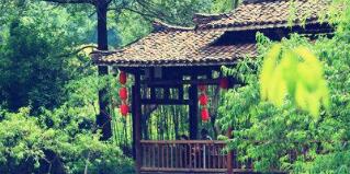 廣西廣投文化旅游公司梅以軍簡(jiǎn)歷，廣西廣投文旅和廣西投資集團(tuán)啥關(guān)系？