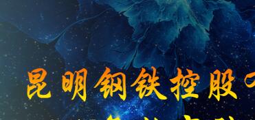 昆鋼集團(tuán)王素琳簡(jiǎn)歷，馬德、陳清泉、王存璘、蘇玲翠、王云萍、錢(qián)永祥、孫小躍、官德海、高冰、杜陸軍、趙永平領(lǐng)導(dǎo)班子