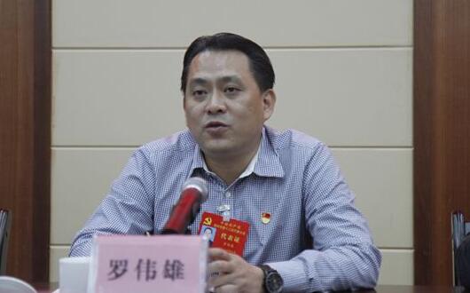 羅偉雄簡(jiǎn)歷：梧州市委常委、政法委書(shū)記羅偉雄，曾任岑溪市委書(shū)記