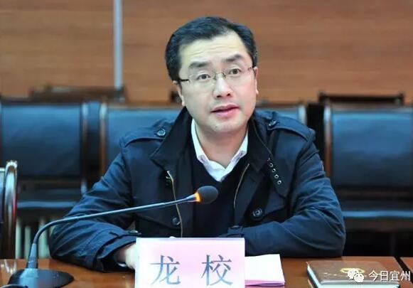 龍校簡歷：欽州市副市長、公安局局長龍校，曾任玉林市副市長、公安局局長，羅棋權(quán)任廣西政法委副書記（羅棋權(quán)簡歷）