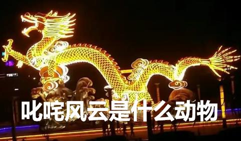 叱咤風云是什么動物？叱咤風云的意思是什么動物的生肖？